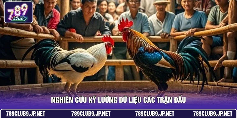 Nghiên cứu kỹ lưỡng dữ liệu các trận đấu