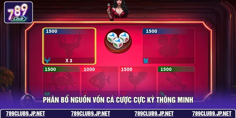Phân bổ nguồn vốn cá cược cực kỳ thông minh