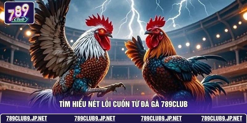 Tìm hiểu nét lôi cuốn từ đá gà 789club